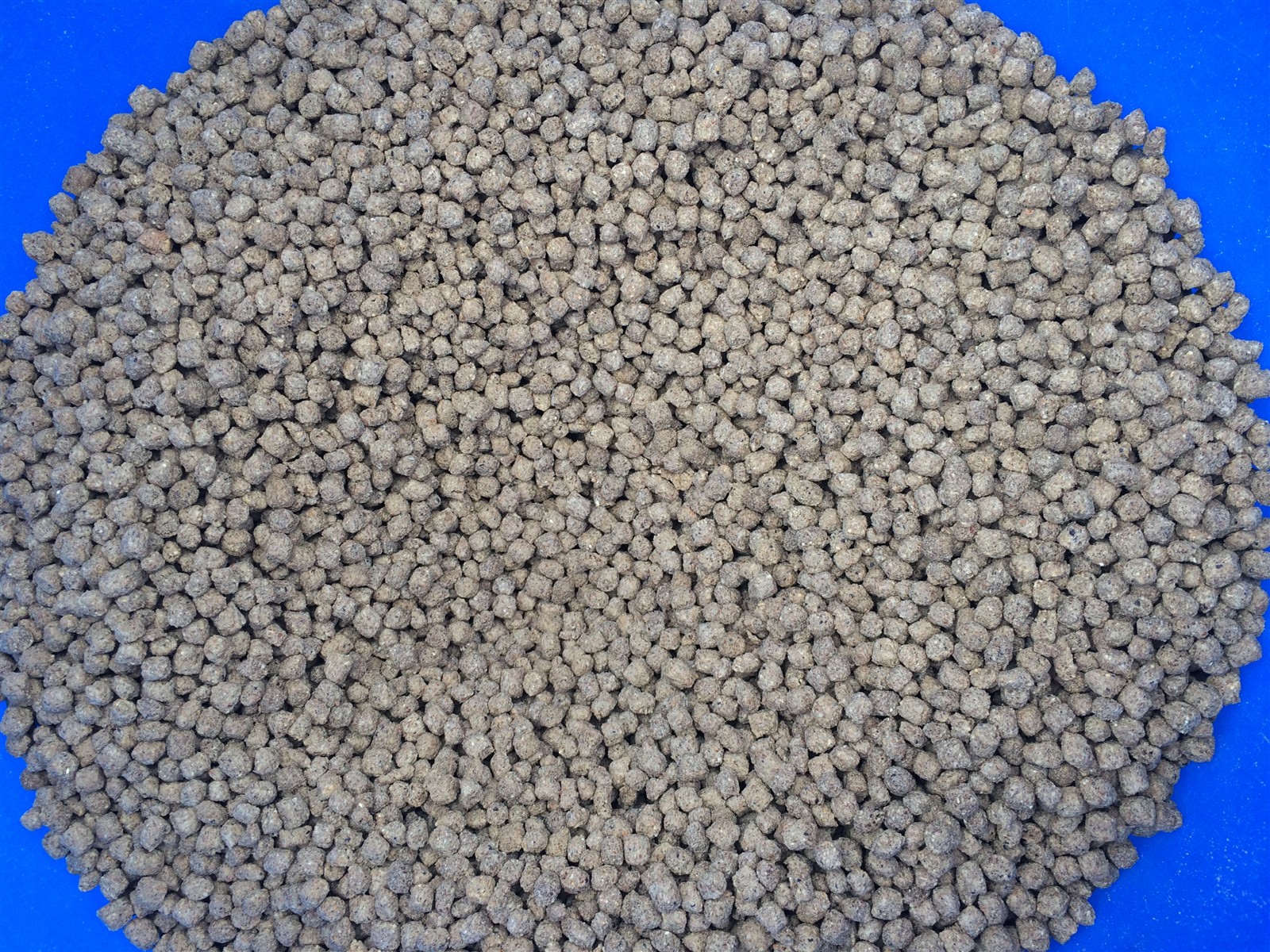 Close-up of manufactured fish feed pellets