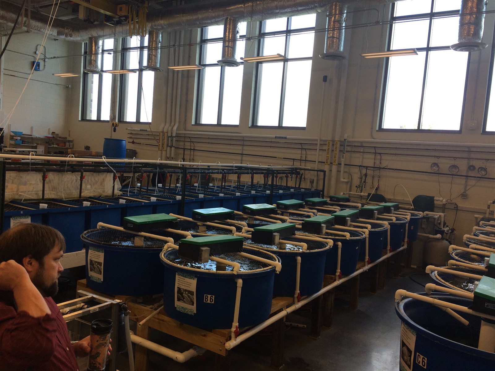 Indoor recirculating aquaculture tanks and filtration equipment